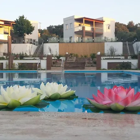 Dibek Homes & Πανσιόν