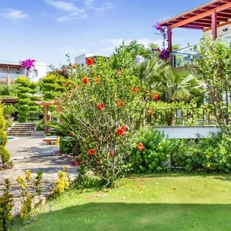 Dibek Homes & Pensiune