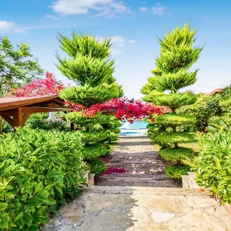 Dibek Homes Villa&hotel