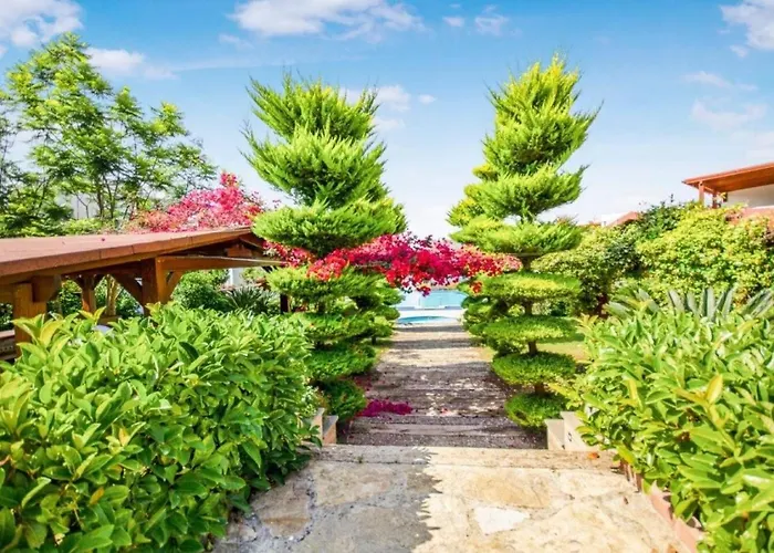 Dibek Homes &