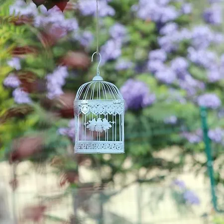 Gasthuis Dibek Homes &