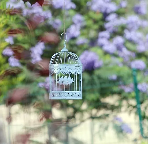 Maison d'hôtes Dibek Homes &