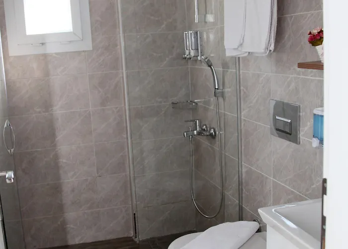 Dibek Homes & Πανσιόν 4*